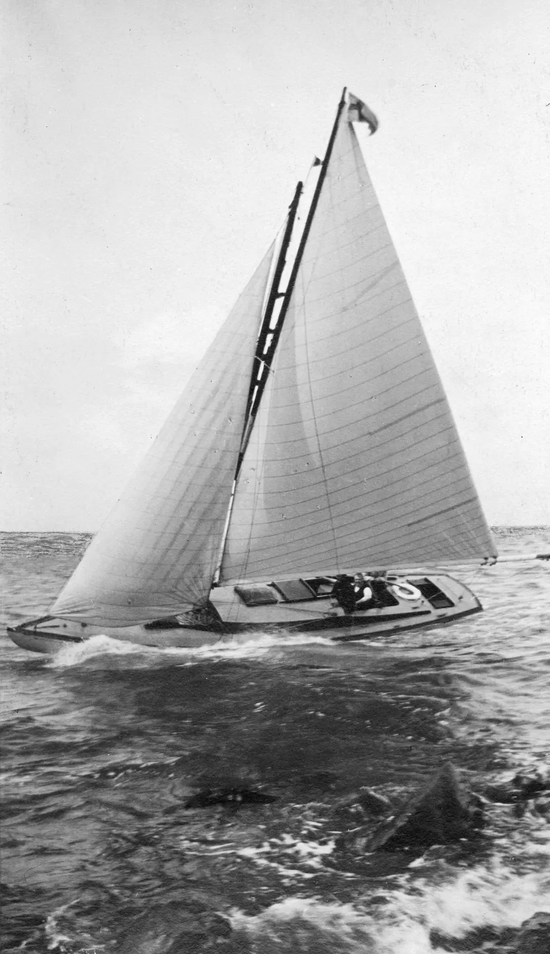 hunter30